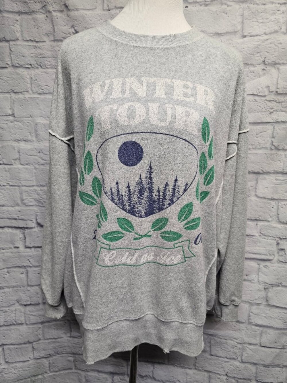 NWT Aerie M Gray Terry Fleece Distressed Winter Tour Relaxed Sweatshirt Top
